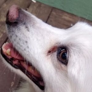 Meet your Posher, Liam